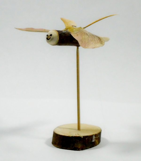 Woodlands Dragonlies - Image 2