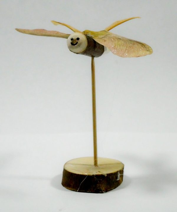 Woodlands Dragonlies - Image 3