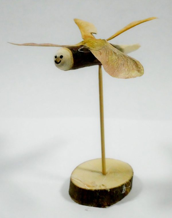 Woodlands Dragonlies