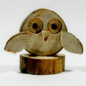 Woodlands Owls