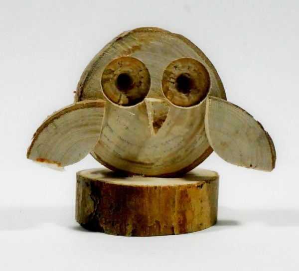 Woodlands Owls